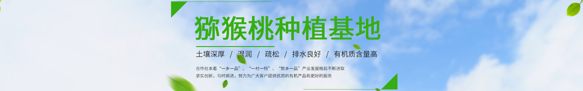 电竞比赛押注app(中国)官方网站V9.8.3 - IOS/安卓版手机APP下载